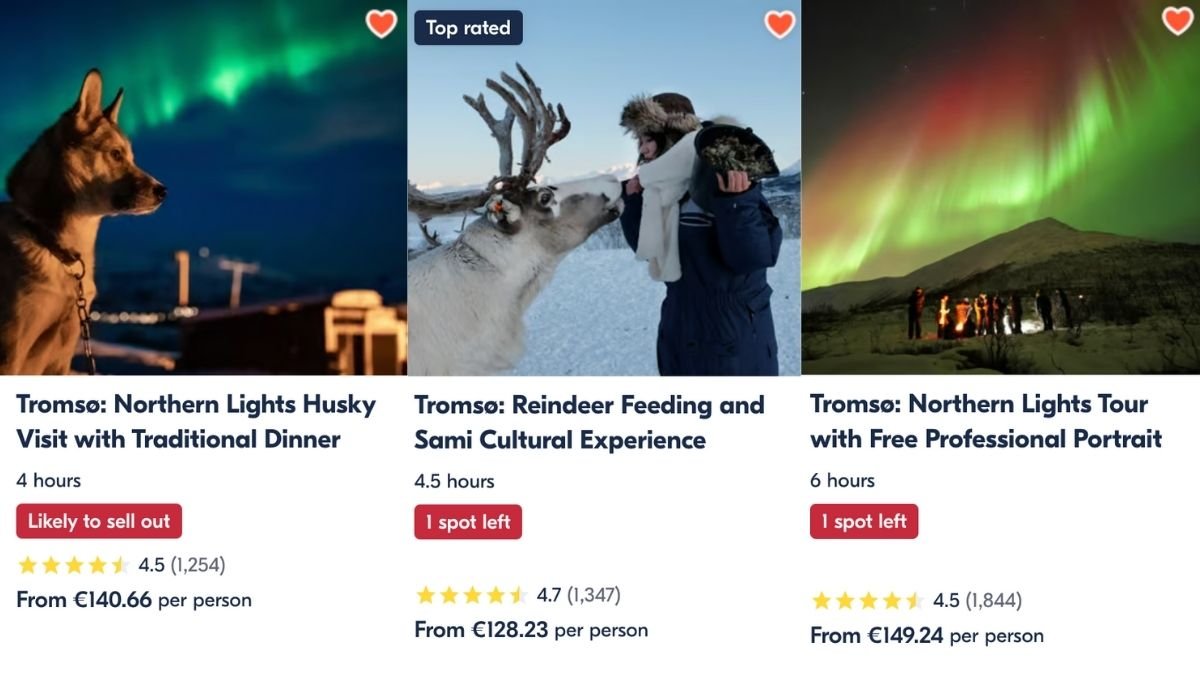 A Husky visit tour, a reindeer feeding tour and a northern lights tour with a professional photograph from GetYourGuide. 