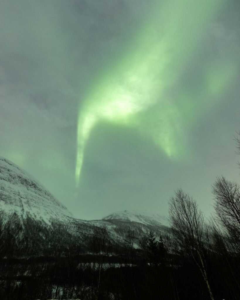 Green Aurora Borealis visible in the night sky, dancing Northern Lights. 