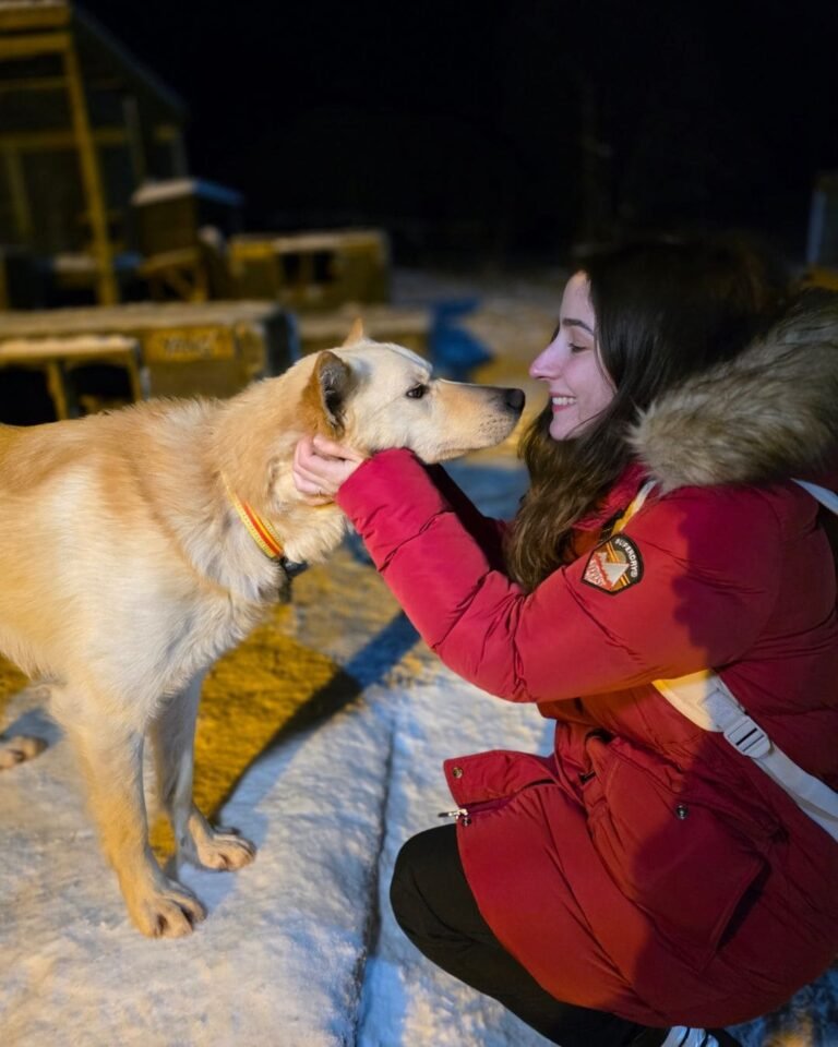 Norway Travel Guide Norway travel guide Visiting the husky farm in Tromso
