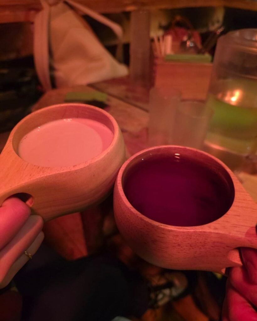 Husky Farm Visit - drinking hot chocolate and tea in a typical Sami tent.