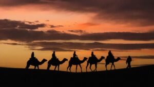 Top Marrakech excursions - Featured image