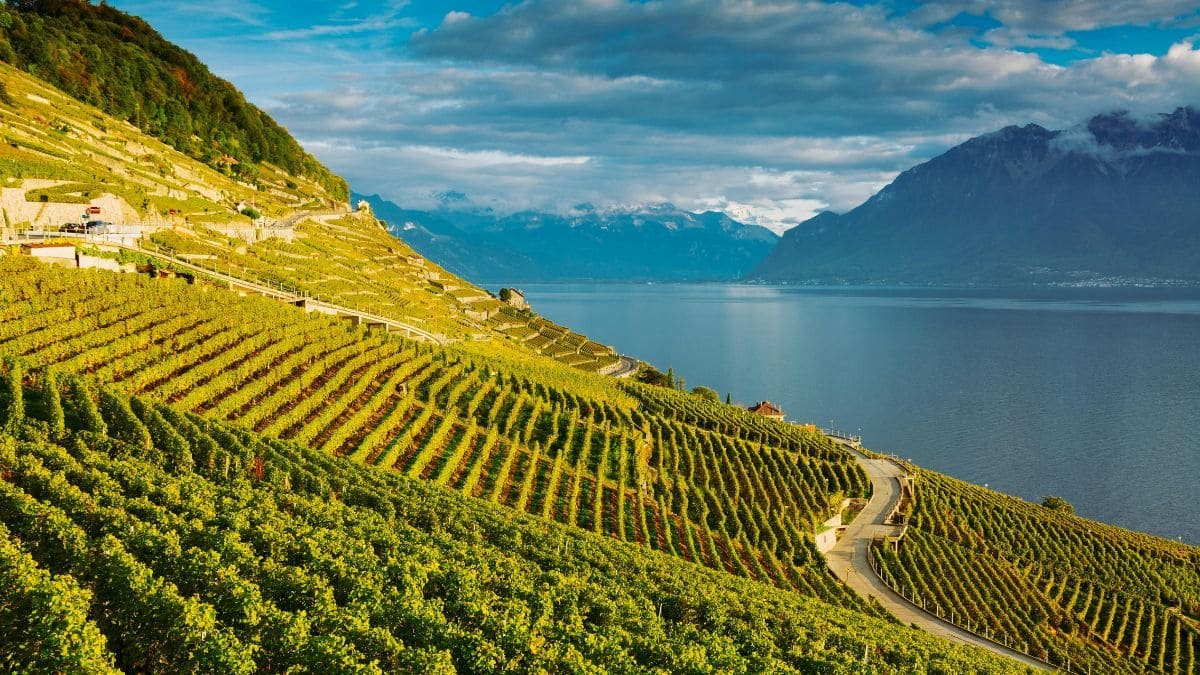 Best Day Trips from Geneva in 2025 – Top Places to Visit Nearby