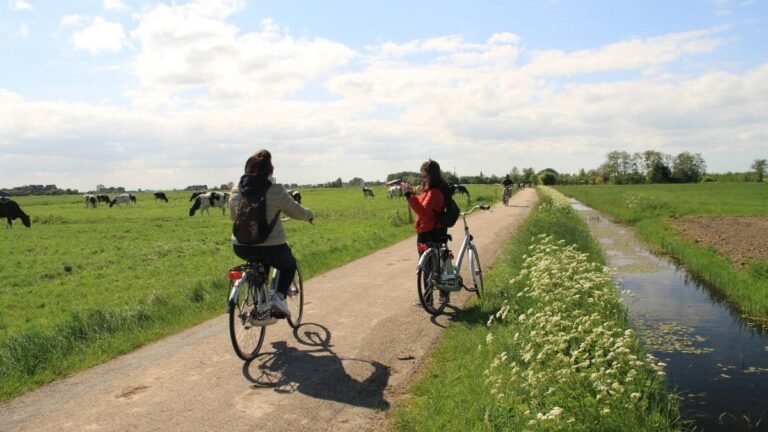 8 best day trips from Amsterdam: Easy escapes in one day