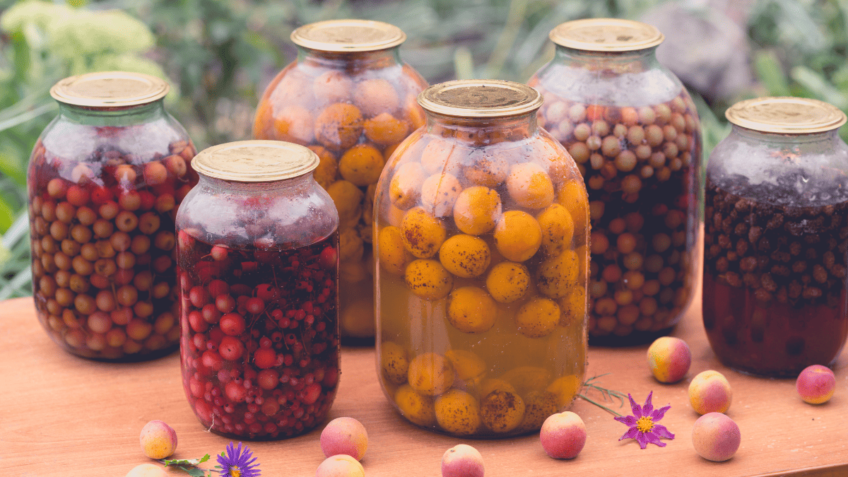 Bulgarian Kompot
