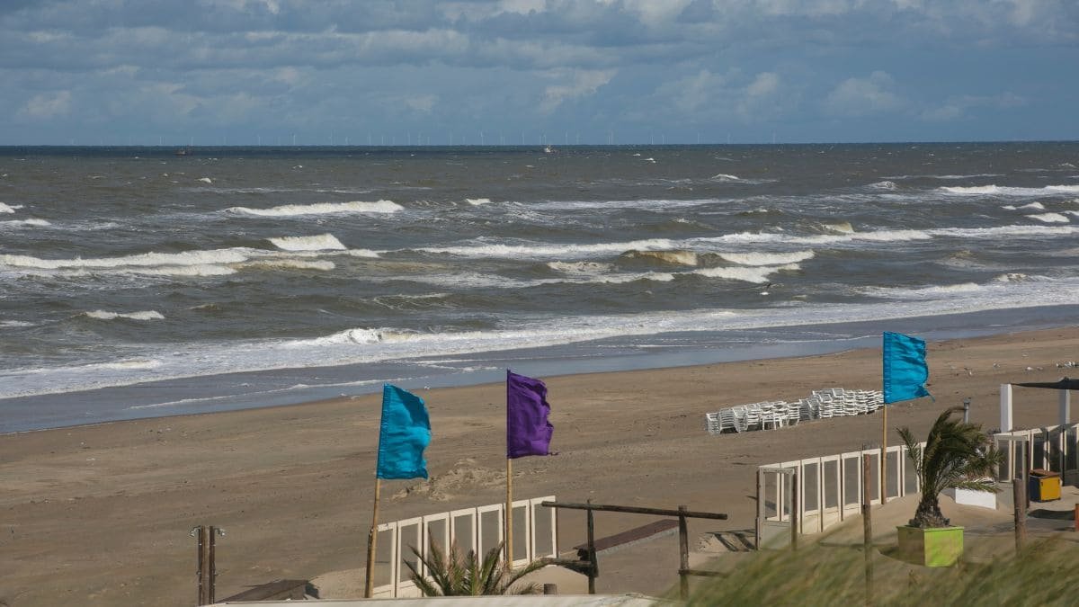 Zandvoort – Beach Escape