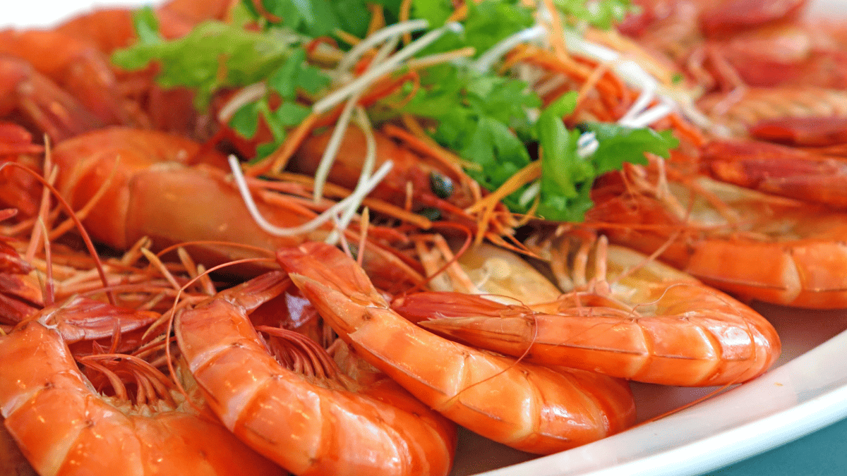 Fresh Prawns (Reker). Oslo