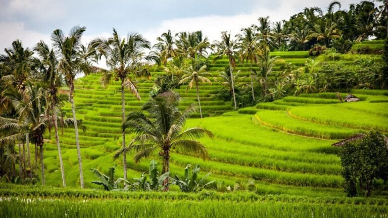Travel Itineraries Active 10 Day Bali Itinerary 2026: Nature, Culture & Adventure