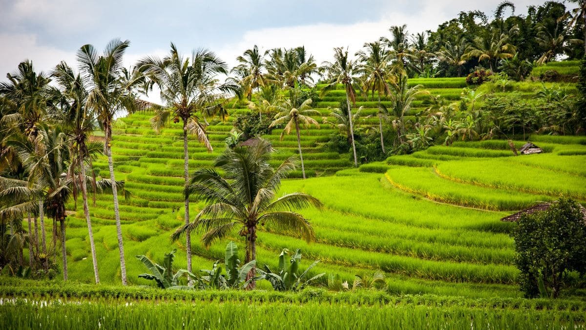 Active 10 Day Bali Itinerary for Nature & Culture Lovers: Explore the Island Like a Local