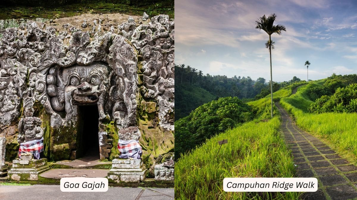 Goa Gajah Temple and Campuhan Ridge walk in Bali