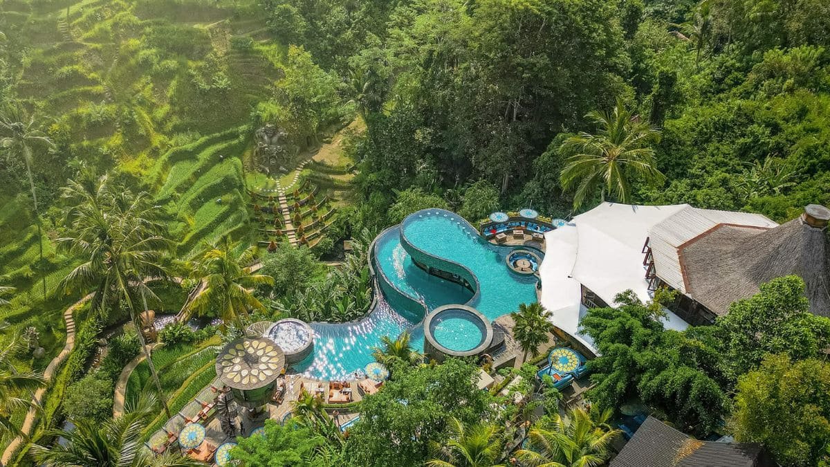 Tegallalang Rice Terraces from Cretya and Alas harum in Bali