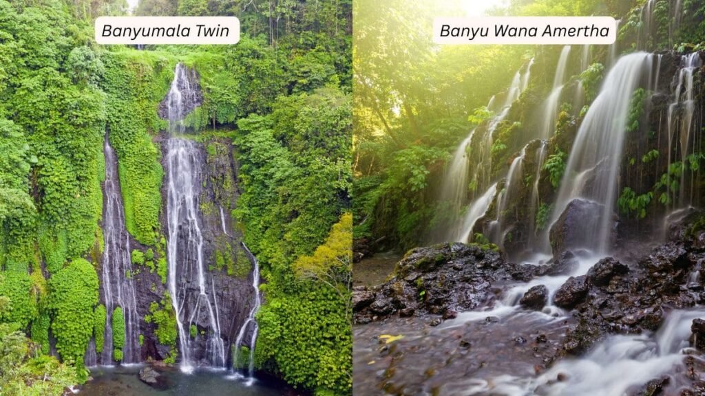Banyumala Twin Waterfall & Banyu Wana Amertha Waterfall Bali