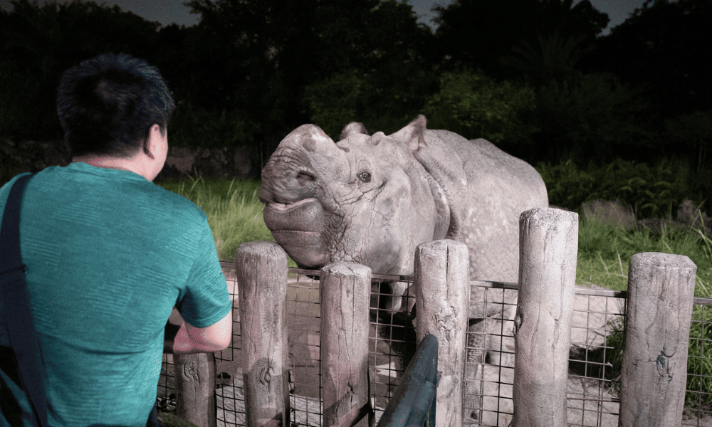 The only good picture we could take from the Night Safari at Mandai Wildlife Reserve, Singapore