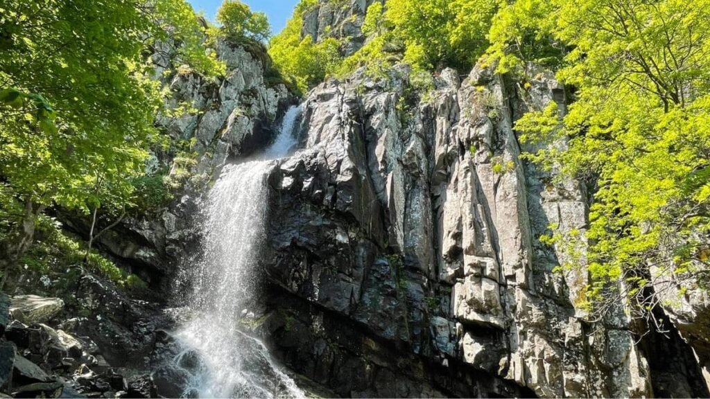 Boyana Waterfall hike