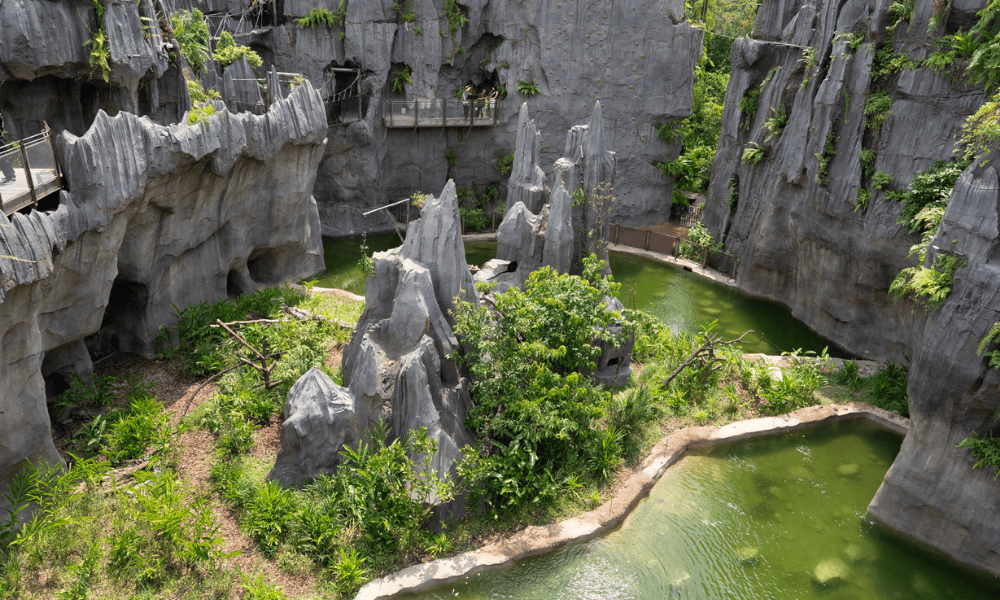 A landscape from the Rainforest Wild Asia, Mandai Wildlife Reserve, Singapore