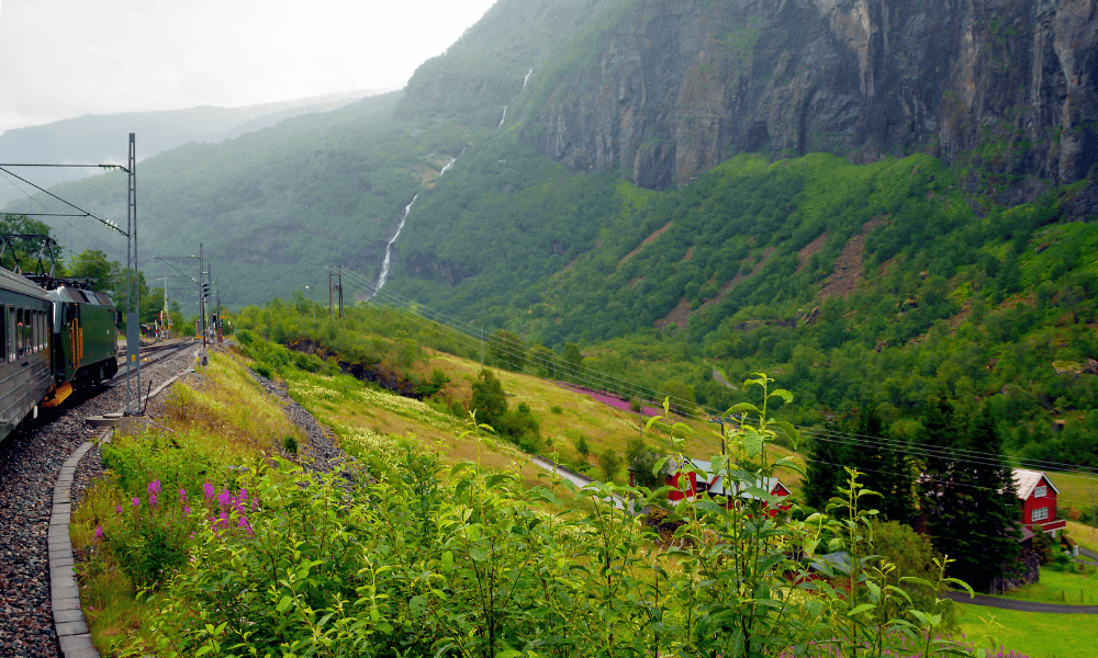 Views from the famous Flåm Railway