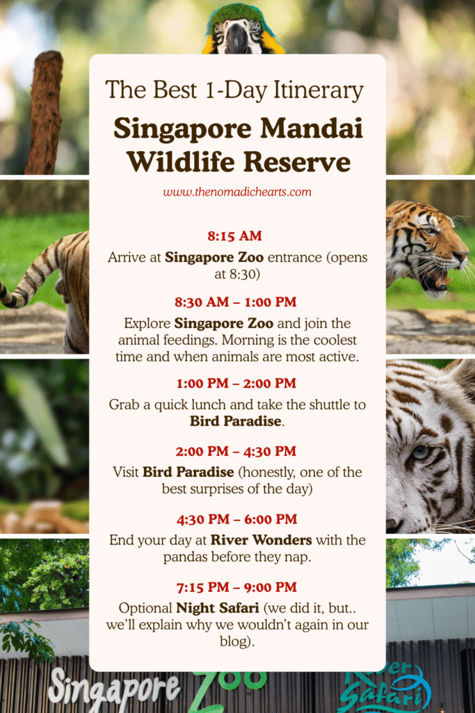 The Best 1-Day Itinerary for Exploring the Mandai Parks in Singapore