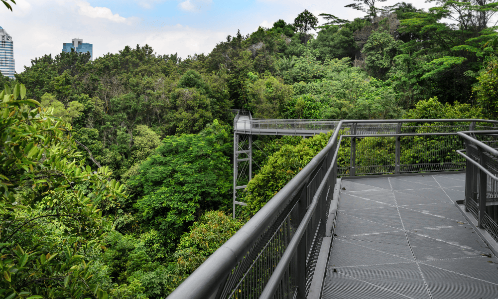 Southern Ridge Walk Singapore