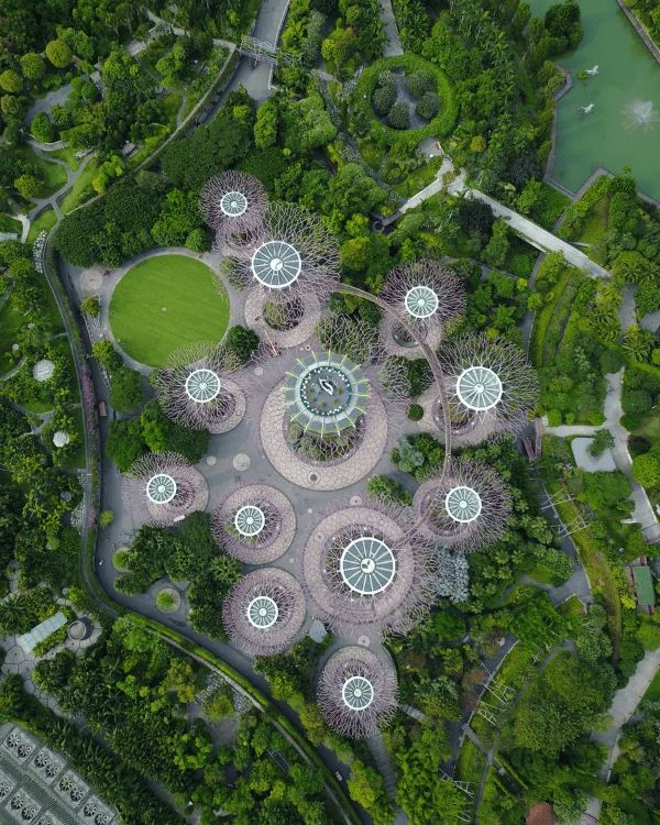 The Supertree Groove in Gardends by the Bay from above