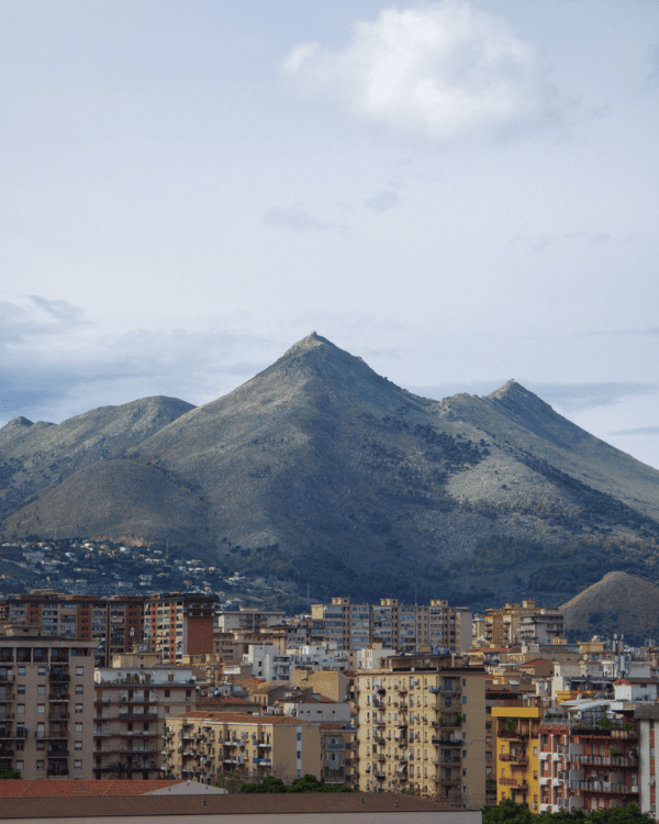 The view from the top of Palermo Cathedral