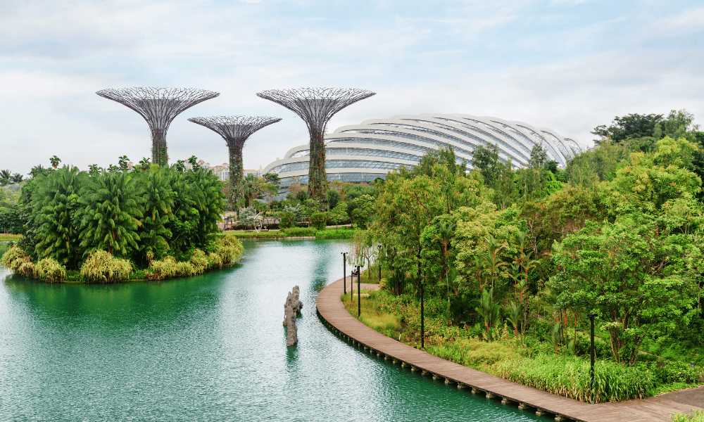 Gardens by the Bay from a far, Singapore