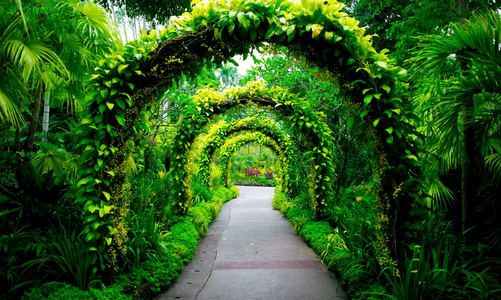 Singapore Botanic Gardens