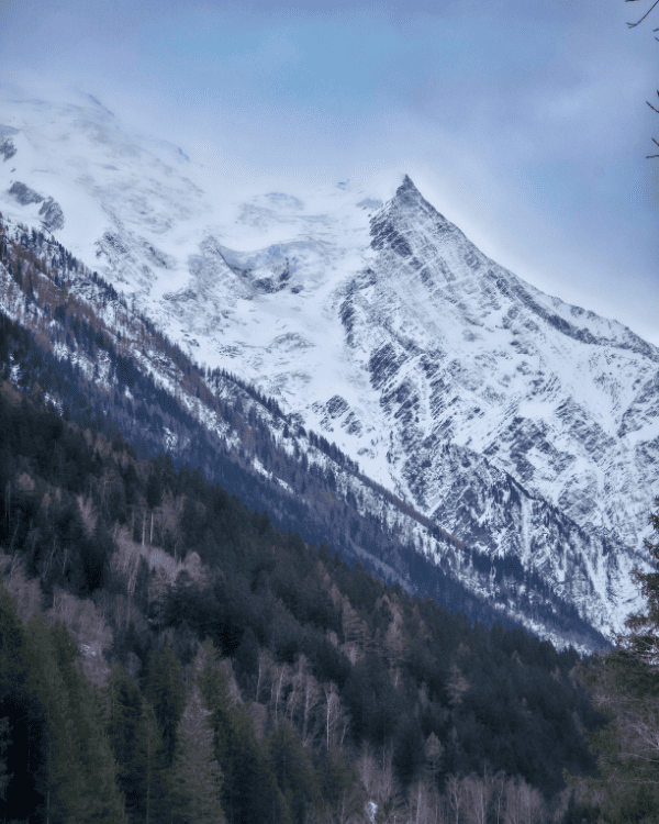 What to Do in Chamonix in Winter: A Guide for Non-Skiers in 2026 What to do in Chamonix in winter Travel Tips Bois du Bouchet trail in Chamonix