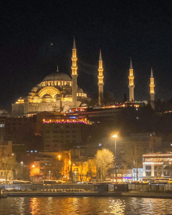 Views from the Night Bosphorus Cruise in Istanbul, Turkey