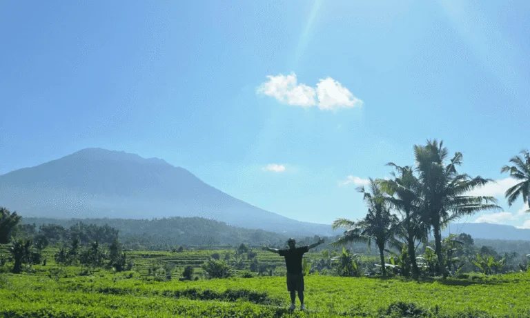 How We Explored All of Bali Without a Scooter – Private Driver Guide, Real Costs & Honest Tips