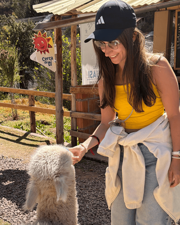 A day in the Animal rescue center near Cusco