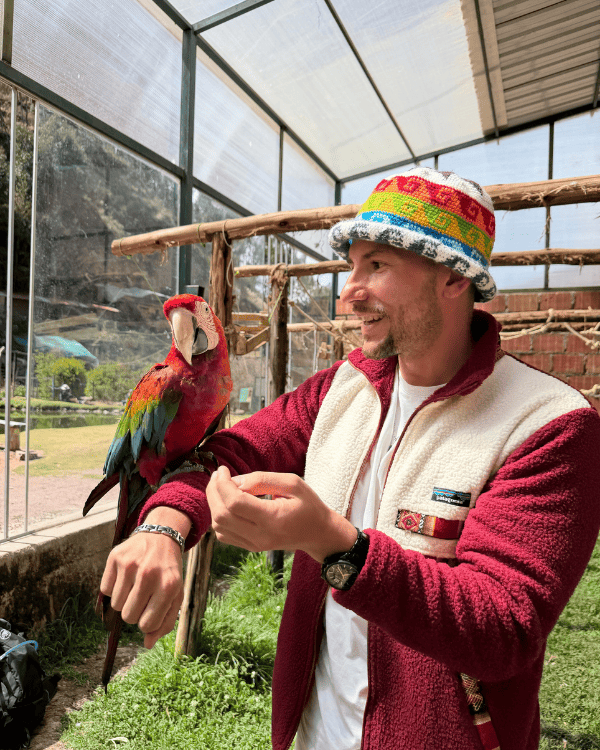 A day in the Animal rescue center near Cusco