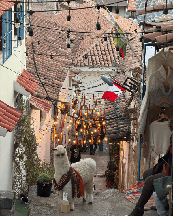 Best Things to Do in Cusco: Our Honest 2026 Guide things to do in cusco Peru San Blas neighbourhood in Cusco, Peru
