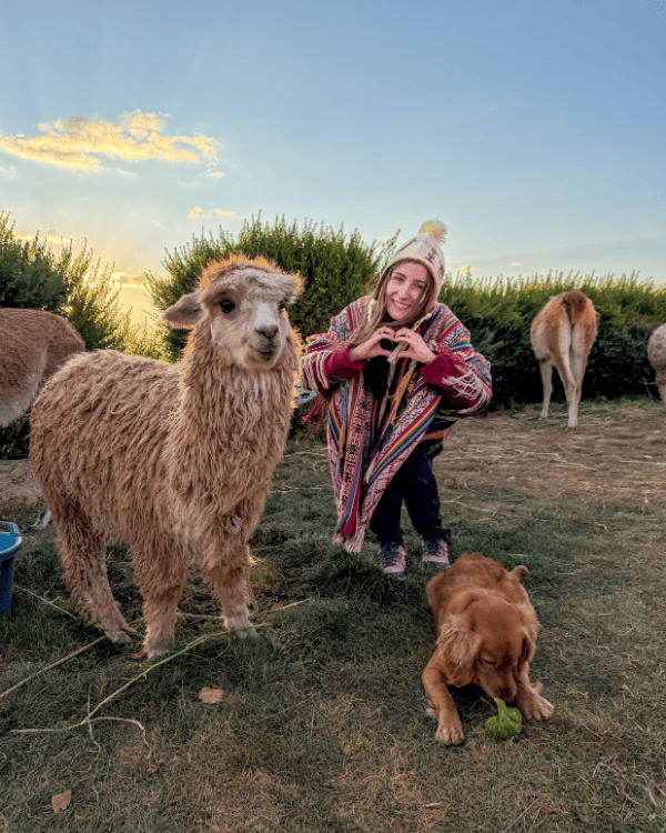 Ru with an alpaca and one of the dogs at Sky Dome Peru