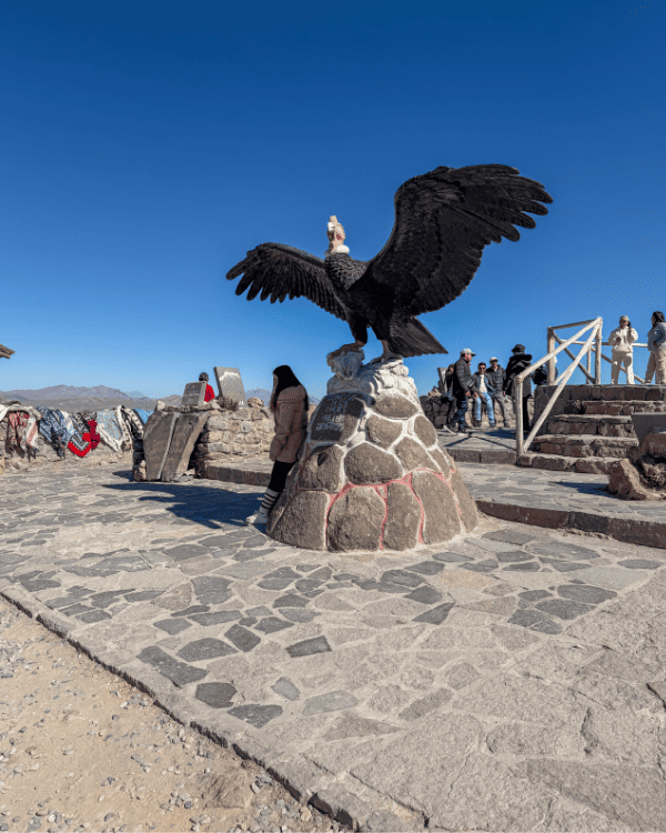 Colca Canyon Day Tour from Arequipa: Our Honest 2026 Review Colca Canyon day tour from Arequipa Peru Mirador Cruz Del Condor, Colca Canyon, Peru