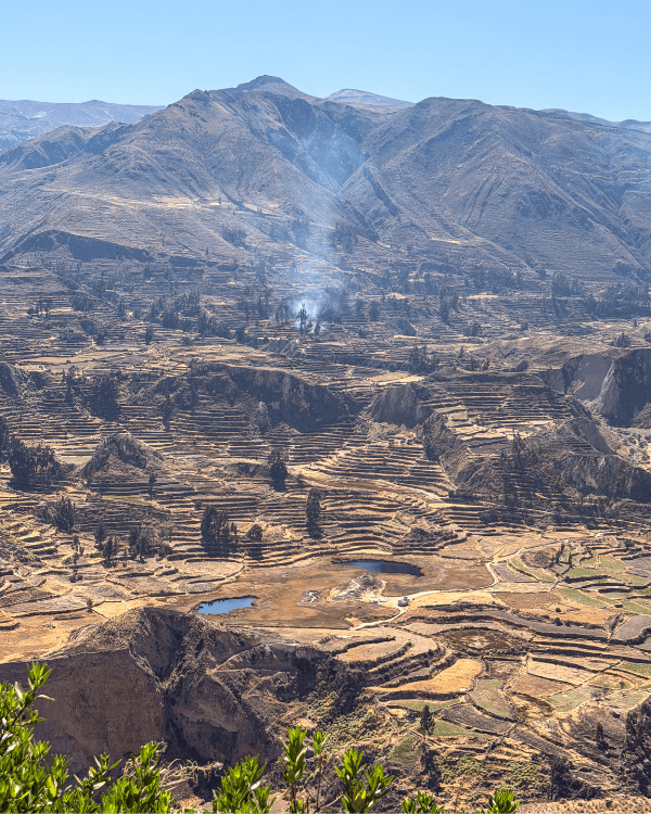 Colca Canyon Day Tour from Arequipa: Our Honest 2026 Review Colca Canyon day tour from Arequipa Peru Incredible views over the Cocla Canyon, Peru