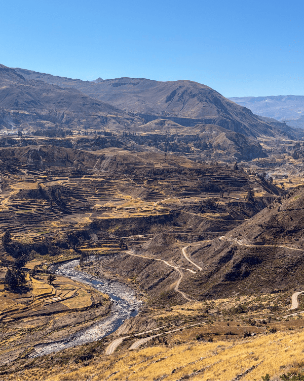 Colca Canyon Day Tour from Arequipa: Our Honest 2026 Review Colca Canyon day tour from Arequipa Peru Incredible views over the Cocla Canyon, Peru