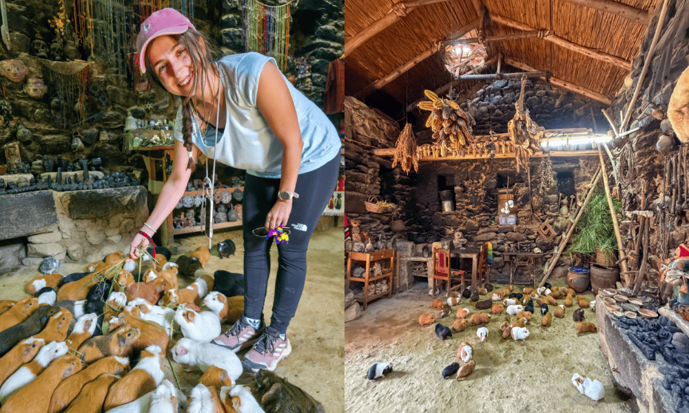 Casa Inka and Feeding Guinea Pigs in Ollantaytambo, Peru
