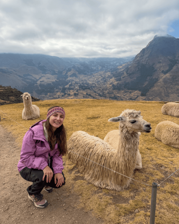 Rumi with llamas at the Pisac ruins, Peru