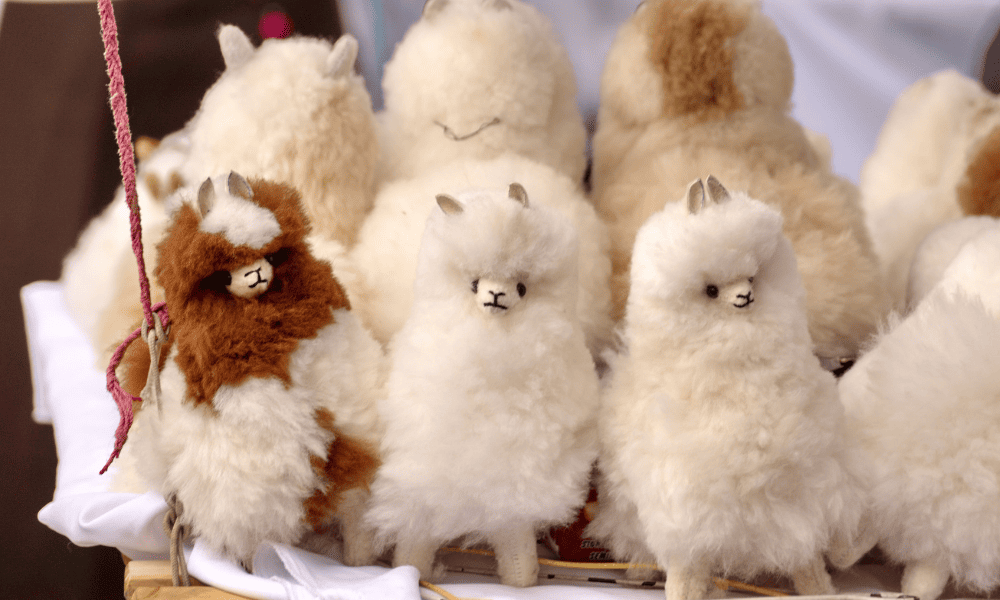 What to Buy in Peru: 22 Souvenirs & Gifts We Actually Brought Home (2026) what to buy in Peru Peru Llama and alpaca plushies in Peru