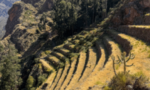 Pisac Ruins & Market: How to Visit from Cusco (2026)